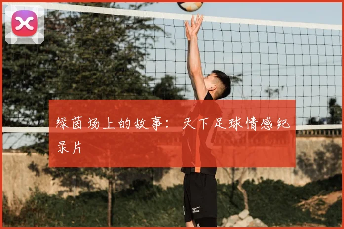 绿茵场上的故事:天下足球情感纪录片