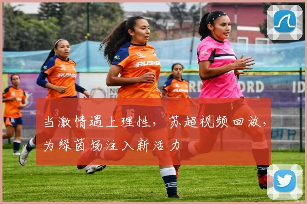 当激情遇上理性，苏超视频回放，为绿茵场注入新活力