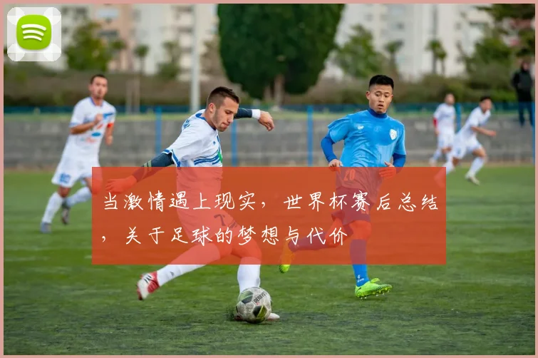当激情遇上现实，世界杯赛后总结，关于足球的梦想与代价