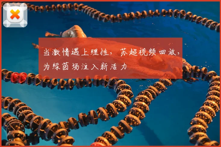 当激情遇上理性,苏超视频回放,为绿茵场注入新活力