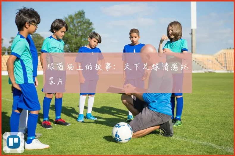 绿茵场上的故事：天下足球情感纪录片
