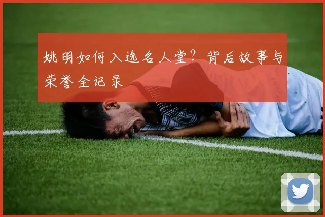 姚明如何入选名人堂？背后故事与荣誉全记录